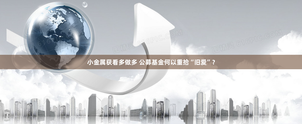 小金属获看多做多 公募基金何以重拾“旧爱”？