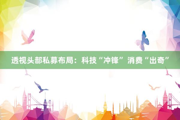 透视头部私募布局：科技“冲锋” 消费“出奇”