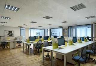 江西可食用蜗牛养殖厂