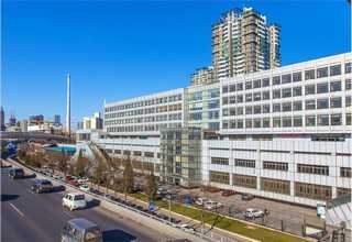 静安区企业绿地绿化养护效果图